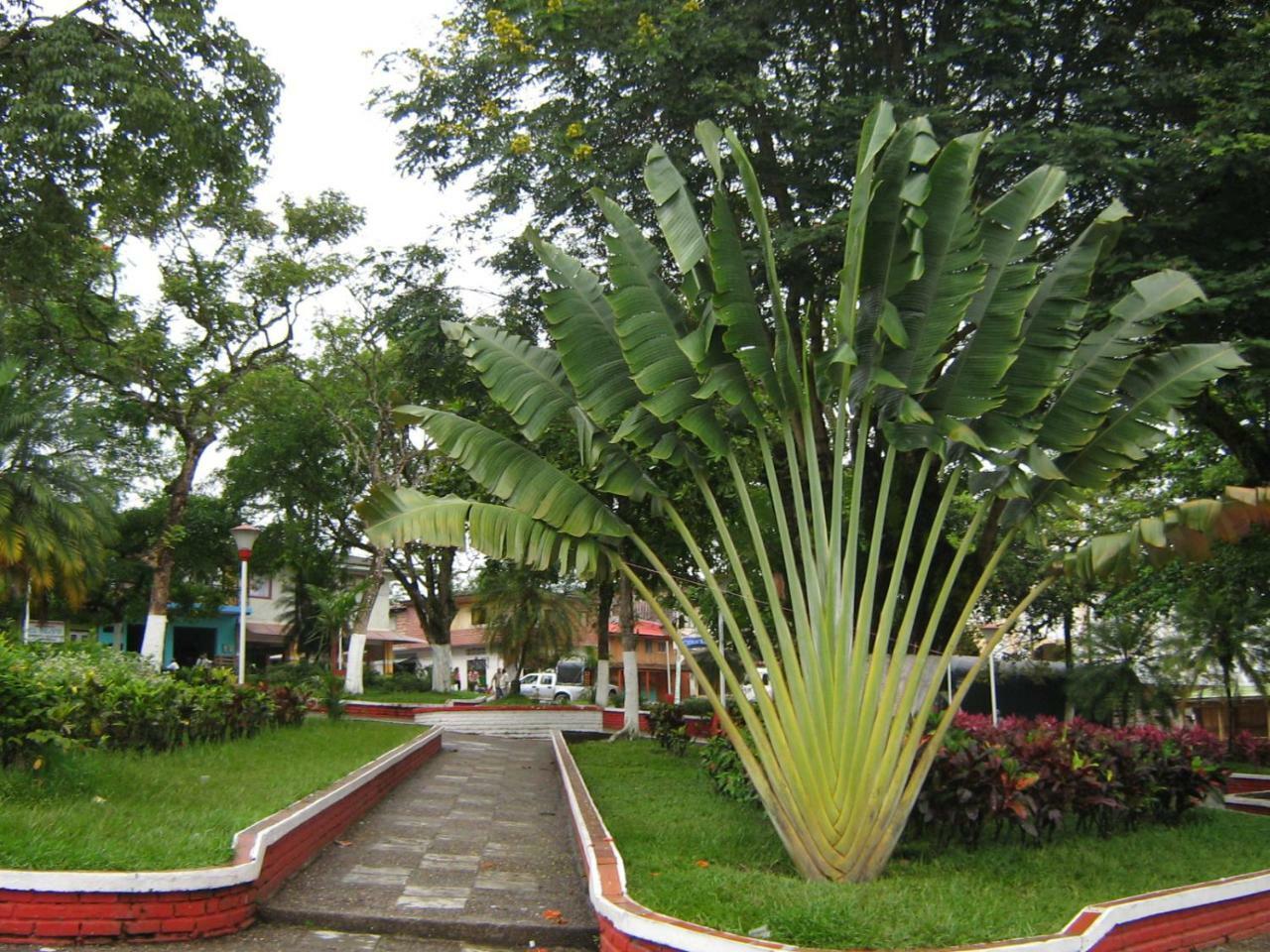 Hotel Casa Trujillo Norcasia ภายนอก รูปภาพ